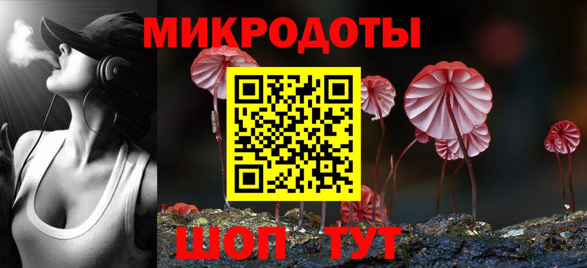 Сердобск  Галлюциногенные грибы Psilocybe  Вход с VPN 